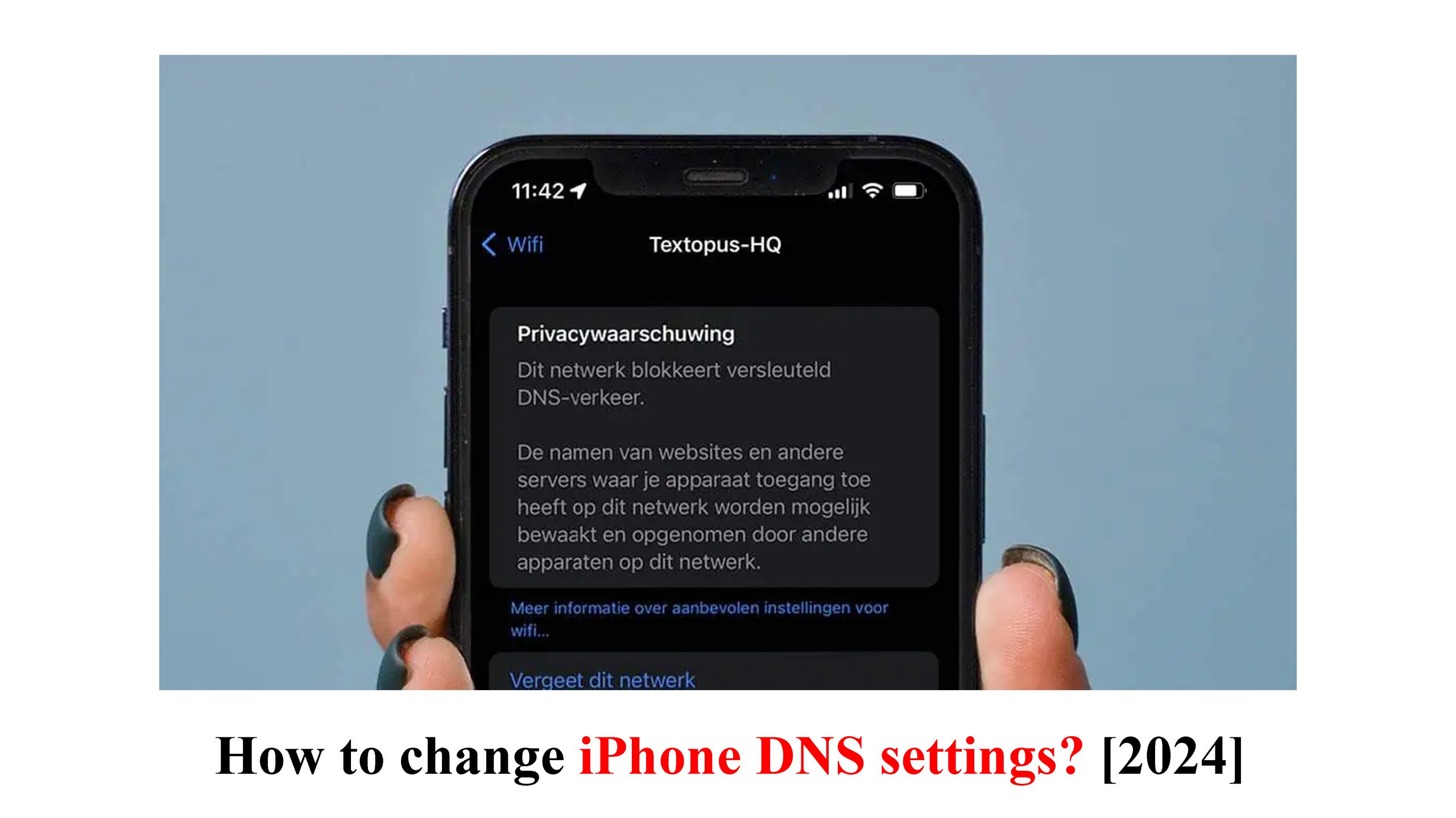 How to change iPhone DNS settings? [2024]